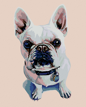 Goblen cu diamante - CÂINE BULLDOG ALB FRANȚUZESC CU ZGARDĂ ALBASTRĂ