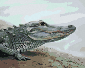 Goblen cu diamante - ALIGATOR APROAPE DE APĂ (D. RUSTY RUST)