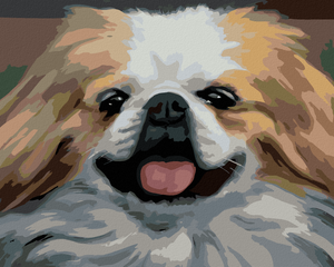 Goblen cu diamante - PORTRET - CÂINE (D. RUSTY RUST)