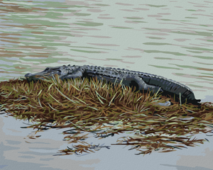 Goblen cu diamante - ALIGATOR STÂND PE IARBĂ (D. RUSTY RUST)