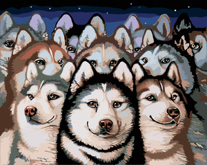 Goblen cu diamante - CÂINI HUSKY